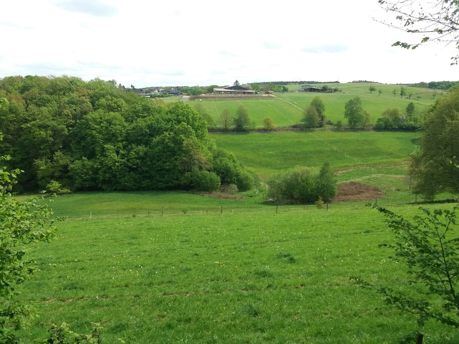 Reitanlage Weissenbrüchen - Feld