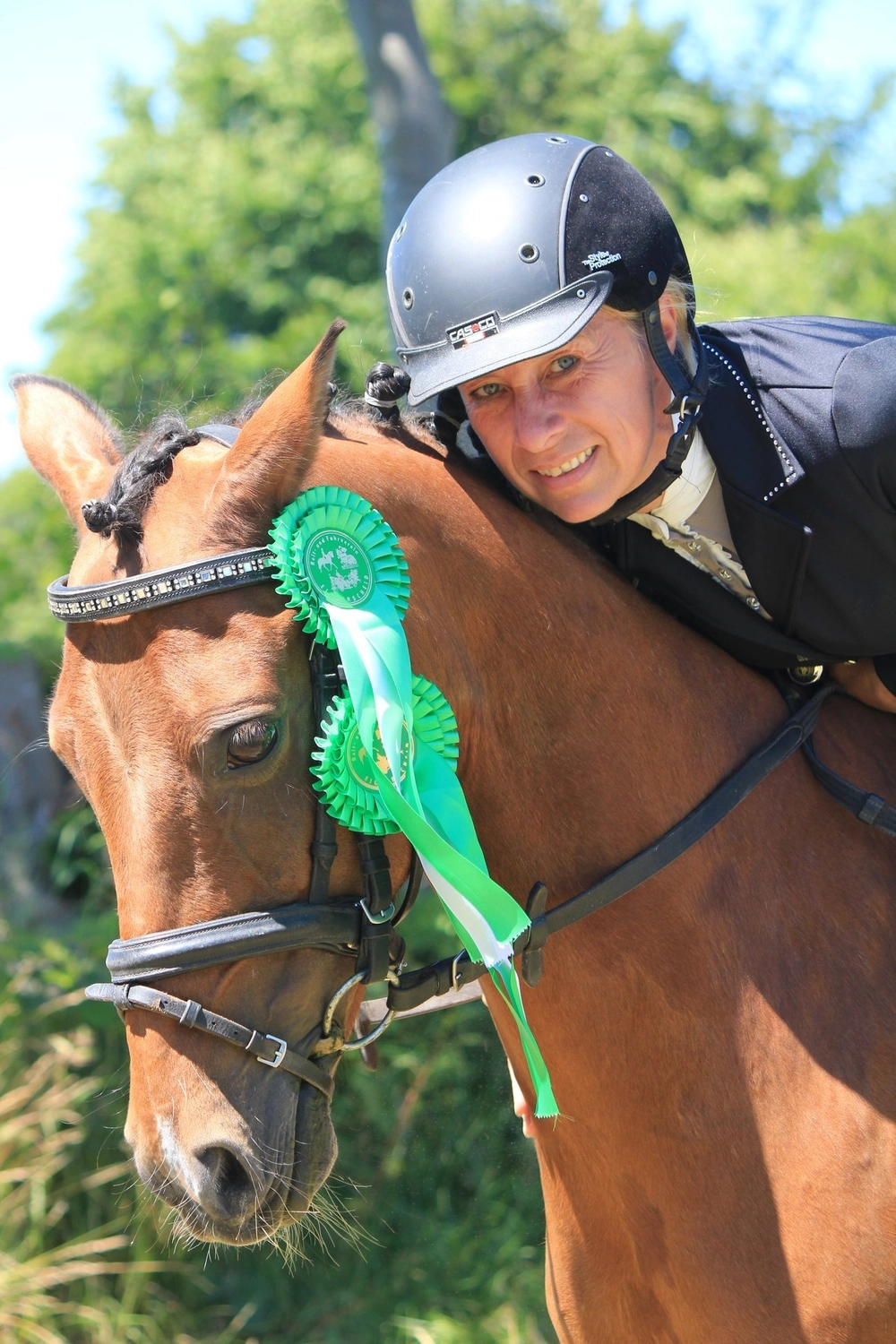 Reitanlage Weissenbrüchen - Pferd