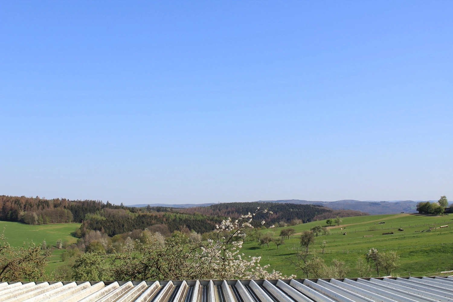Reitanlage Weissenbrüchen - Feld