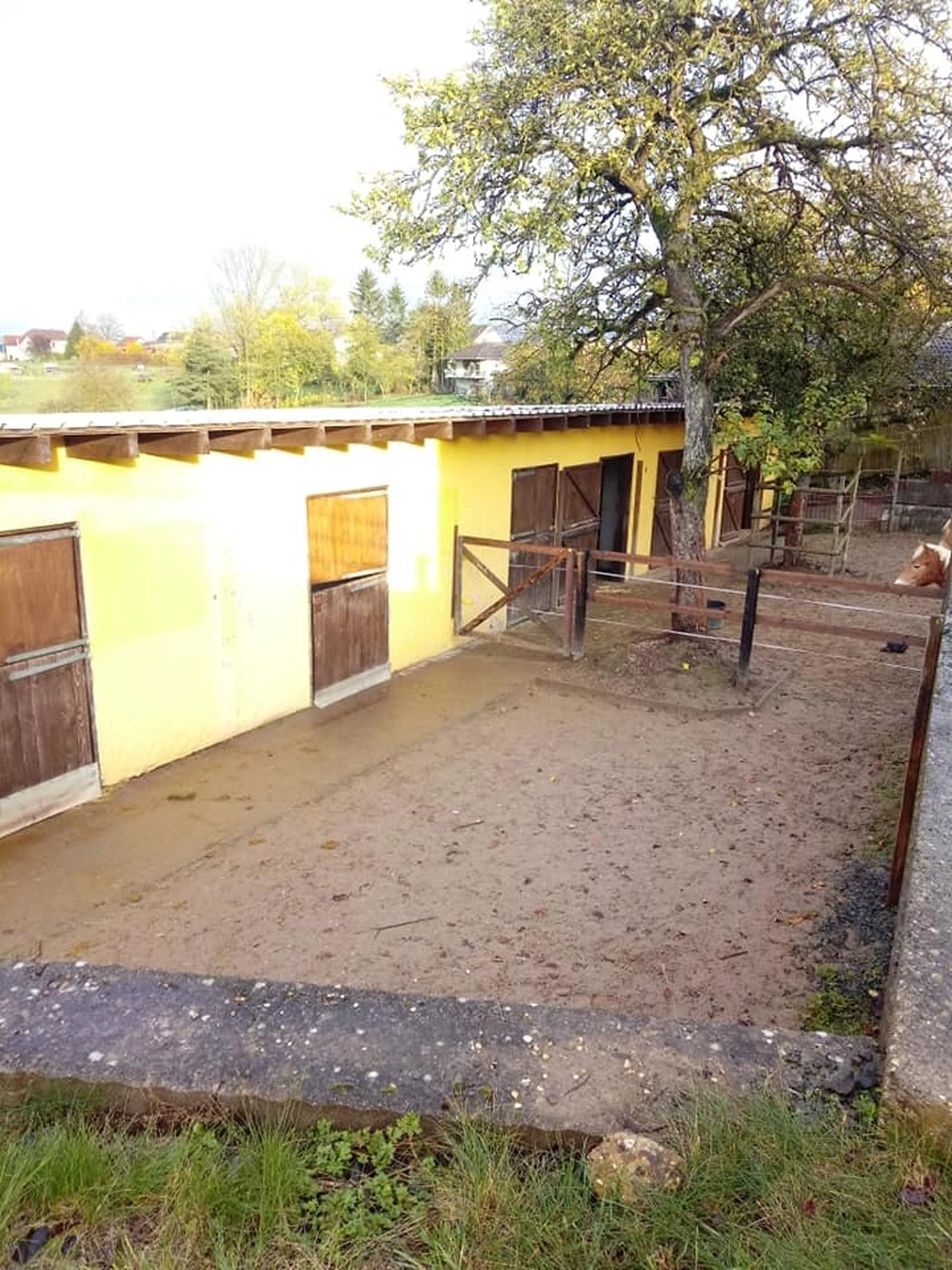 Reitanlage Weissenbrüchen - Feld