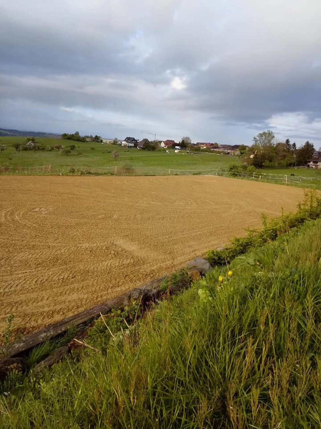 Reitanlage Weissenbrüchen - Feld