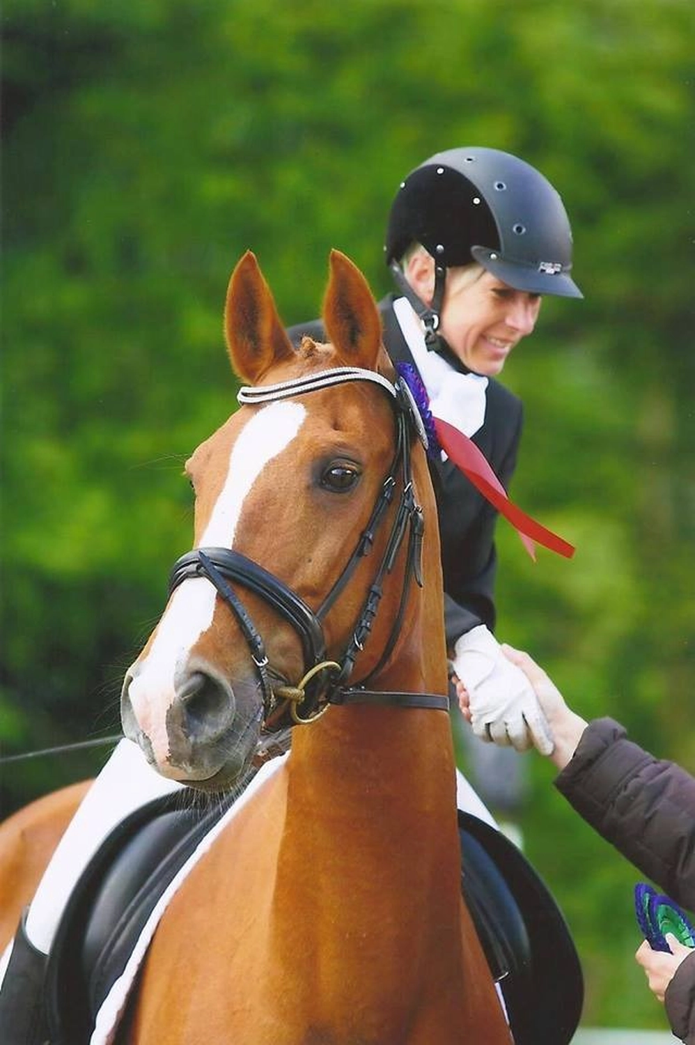 Reitanlage Weissenbrüchen - Pferd