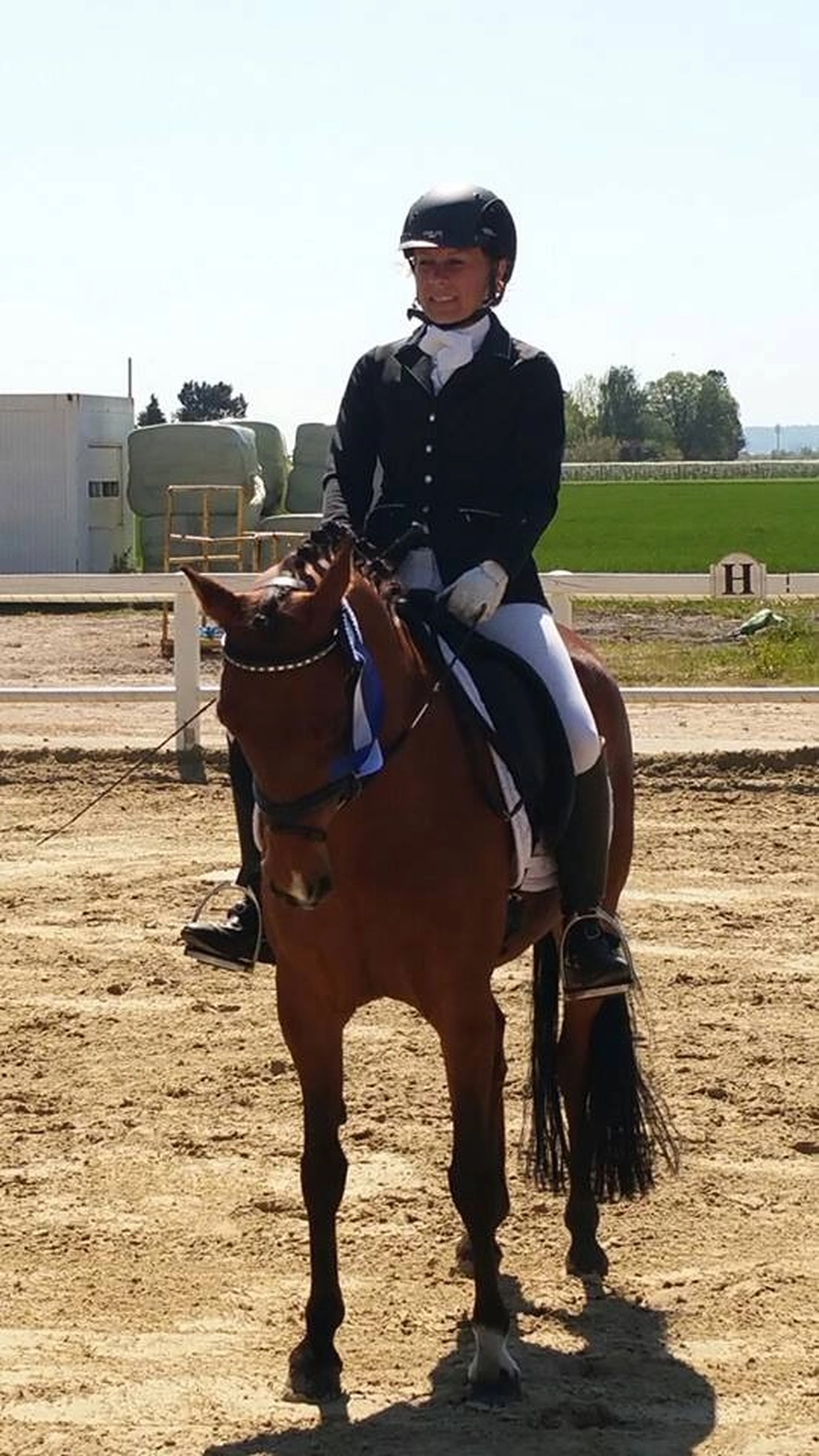 Reitanlage Weissenbrüchen - Pferd