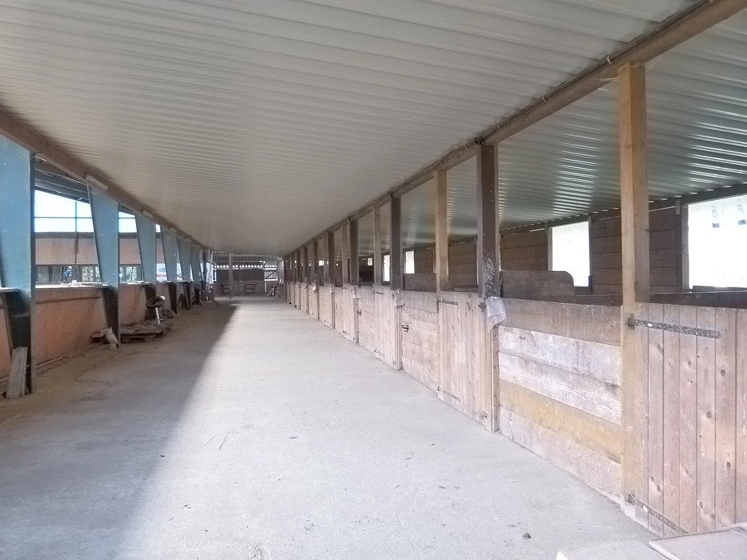 Reitanlage Weissenbrüchen - Feld